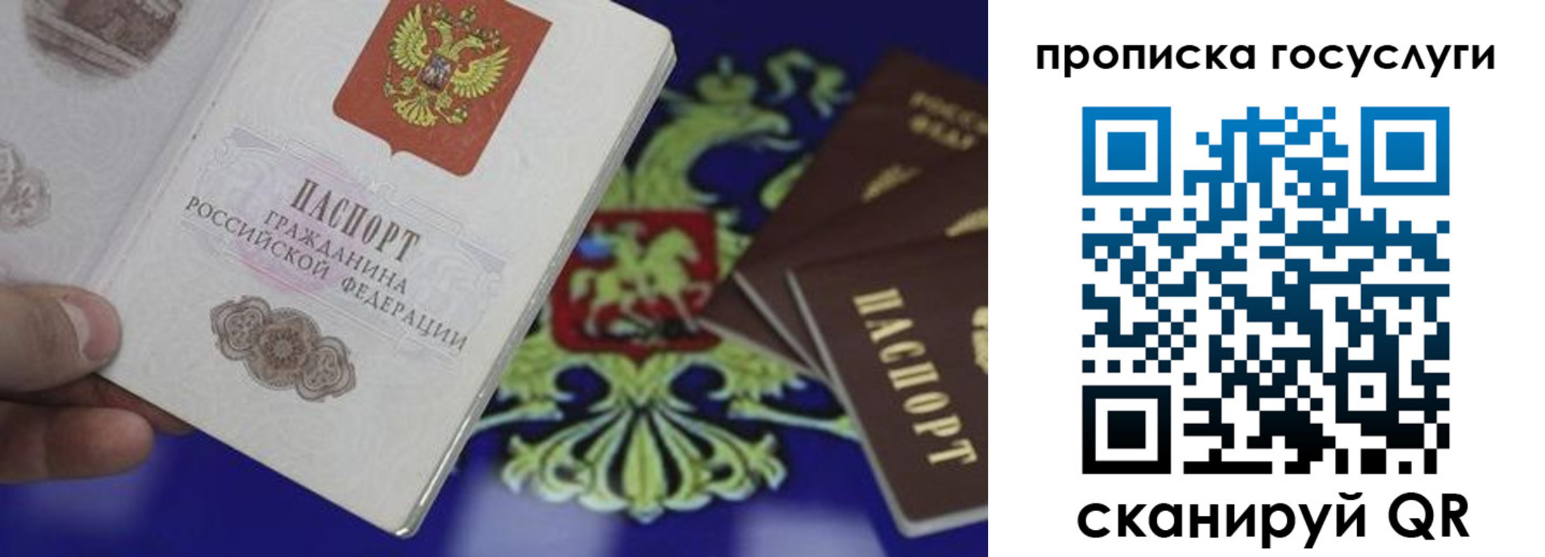 прописка для школы в Михайловске
